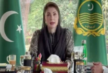 بزرگ ہمارے ماضی کا عکس، حال کی روشنی اور مستقبل کے لیے سبق ہیں: مریم نواز