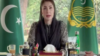 بزرگ ہمارے ماضی کا عکس، حال کی روشنی اور مستقبل کے لیے سبق ہیں: مریم نواز