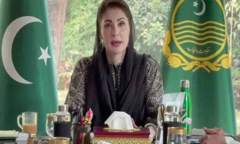 بزرگ ہمارے ماضی کا عکس، حال کی روشنی اور مستقبل کے لیے سبق ہیں: مریم نواز