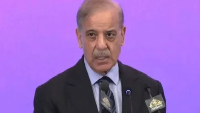 وزیراعظم شہباز شریف نے نیشنل آئی ٹی پارک کا افتتاح کر دیا، دانش آئی ٹی پارک کا نام دینے کا اعلان