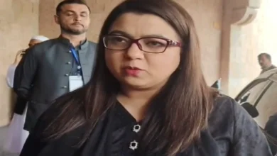 پاکستان میں سیٹلائٹ انٹرنیٹ فریم ورک آخری مراحل میں داخل، جلد حتمی شکل دے دی جائے گی: شزہ فاطمہ خواجہ