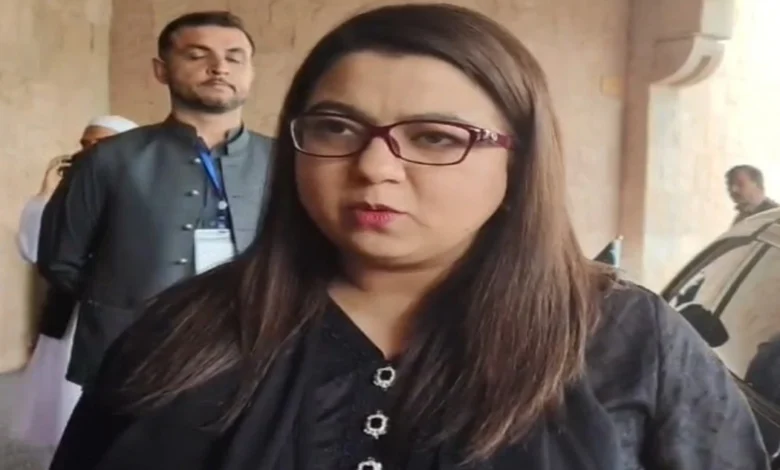 پاکستان میں سیٹلائٹ انٹرنیٹ فریم ورک آخری مراحل میں داخل، جلد حتمی شکل دے دی جائے گی: شزہ فاطمہ خواجہ