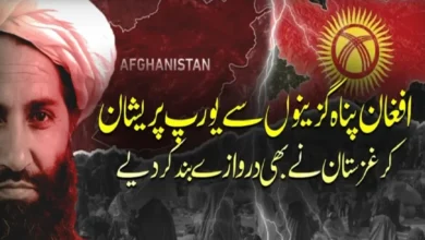 کرغزستان کا یورپی یونین کو دوٹوک جواب، افغان پناہ گزینوں کی میزبانی کے بدلے اپنے شہری یورپ بھیجنے کی تجویز مسترد