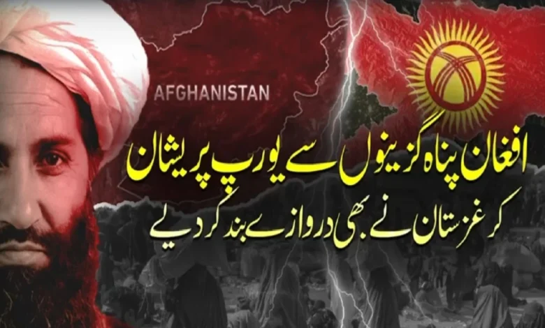 کرغزستان کا یورپی یونین کو دوٹوک جواب، افغان پناہ گزینوں کی میزبانی کے بدلے اپنے شہری یورپ بھیجنے کی تجویز مسترد