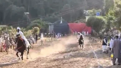 ایبٹ آباد کے نواحی گاؤں لیگاں میں نیزہ بازی کے دلچسپ مقابلے، شہسواروں کے شاندار کرتب