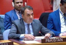 اقوام متحدہ: پاکستان کا انسانی حقوق کے عالمی اور مساوی اطلاق پر زور، محمد اقبال عثمان جدون