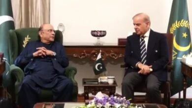 اسلام آباد میں پی ٹی آئی احتجاج کی تیاریاں، حکومت اور پیپلز پارٹی کا اپوزیشن سے مذاکرات کا فیصلہ