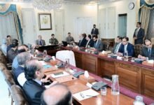 وزارتوں کی کارکردگی اور ڈیٹا کی ڈیجیٹائزیشن حکومتی نظام کو عصرِ حاضر سے ہم آہنگ کرے گی، شہباز شریف