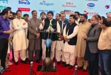 سرمایہ کاری اور روزگار کے فروغ کیلئے سیاسی استحکام ضروری ہے: سپیکر پنجاب اسمبلی
