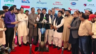 سرمایہ کاری اور روزگار کے فروغ کیلئے سیاسی استحکام ضروری ہے: سپیکر پنجاب اسمبلی