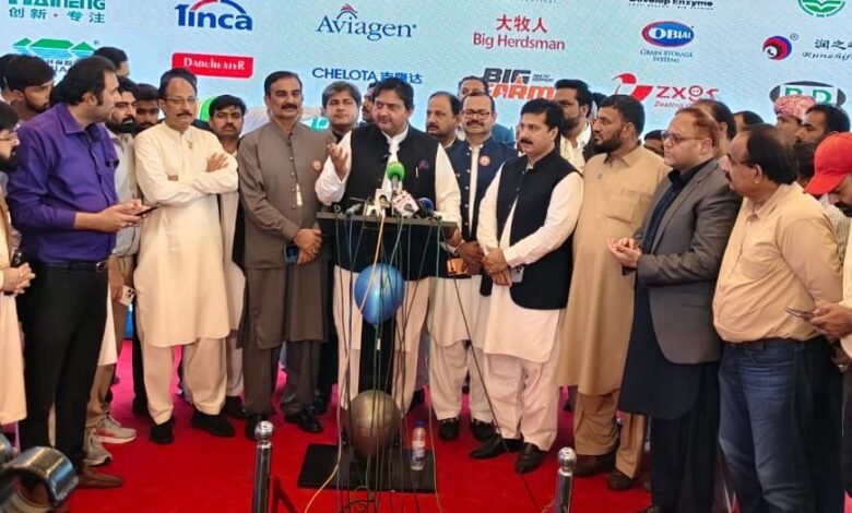 سرمایہ کاری اور روزگار کے فروغ کیلئے سیاسی استحکام ضروری ہے: سپیکر پنجاب اسمبلی