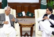 گورنر سندھ نہال ہاشمی کی سپیکر پنجاب اسمبلی ملک محمد احمد خاں سے ملاقات