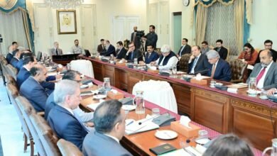 وزیراعظم شہباز شریف کا ایس ایم ای قرضوں کا حجم 2028 تک 2.2 ٹریلین روپے کرنے کا حکم، سمیڈا میں اصلاحات تیز کرنے کی ہدایت