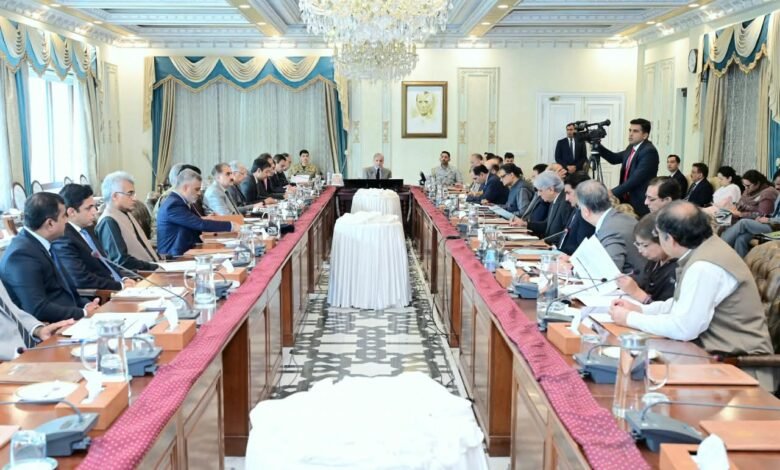 وزیراعظم شہباز شریف کا قیمتی پتھروں کے شعبے میں سست روی پر اظہارِ برہمی، برآمدات بڑھانے کے لیے جامع لائحہ عمل آئندہ ہفتے پیش کرنے کی ہدایت