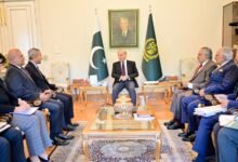 وزیراعظم شہباز شریف سے سنگاپور کے وزیر خارجہ کی ملاقات، تجارت اور سرمایہ کاری بڑھانے پر اتفاق