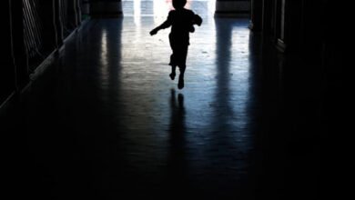 پاکستان کا بچوں کے تحفظ کا نظام آن لائن جنسی استحصال روکنے میں ناکام، ایچ آر سی پی کی رپورٹ میں سنگین انکشافات