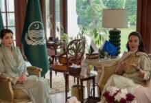 مریم نواز سے یورپی پارلیمنٹ کی رکن میری فاطمہ خان ہولچ کی ملاقات، زراعت، آئی ٹی اور تجارت پر گفتگو
