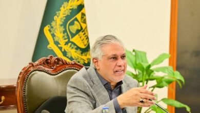 پاکستان اور بحرین کے تعلقات میں مزید وسعت کی تیاری، اسحاق ڈار کی زیر صدارت بین الوزارتی اجلاس
