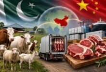 باغبان کمپنی کی اہم پیش رفت، چیچہ وطنی میں چائنیز سلاٹر ہاؤس کی بحالی