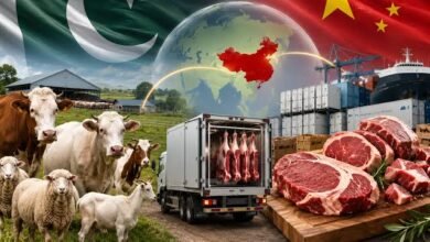 باغبان کمپنی کی اہم پیش رفت، چیچہ وطنی میں چائنیز سلاٹر ہاؤس کی بحالی