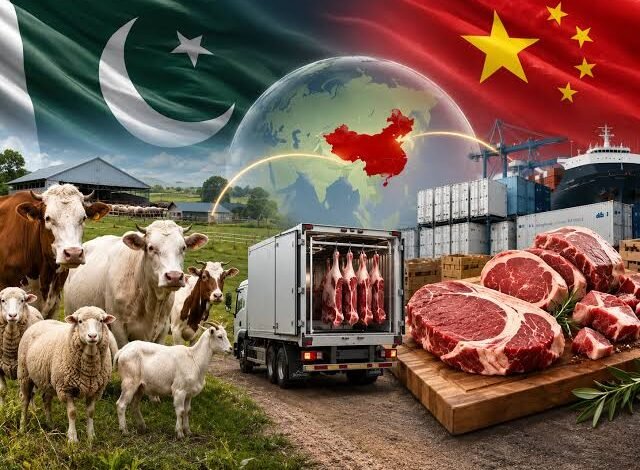 باغبان کمپنی کی اہم پیش رفت، چیچہ وطنی میں چائنیز سلاٹر ہاؤس کی بحالی