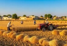 Direct Marketing Strategies for Rural Entrepreneurs in Pakistan