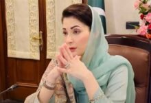 آسٹیوپوروسس سے بچاؤ، بروقت تشخیص اور علاج کے لیے عوامی شعور ناگزیر ہے، مریم نواز شریف