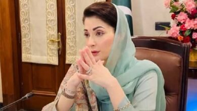 آسٹیوپوروسس سے بچاؤ، بروقت تشخیص اور علاج کے لیے عوامی شعور ناگزیر ہے، مریم نواز شریف