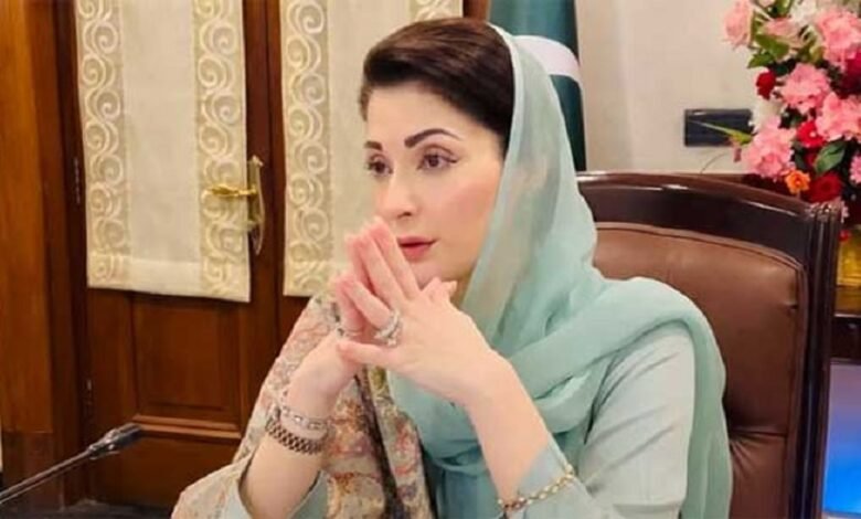 آسٹیوپوروسس سے بچاؤ، بروقت تشخیص اور علاج کے لیے عوامی شعور ناگزیر ہے، مریم نواز شریف