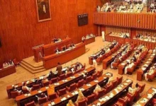 وزیر داخلہ محسن نقوی کا مؤقف، پی ٹی آئی کے اندرونی اختلافات کے باعث مذاکرات کامیاب نہ ہو سکے۔