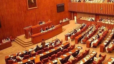 وزیر داخلہ محسن نقوی کا مؤقف، پی ٹی آئی کے اندرونی اختلافات کے باعث مذاکرات کامیاب نہ ہو سکے۔