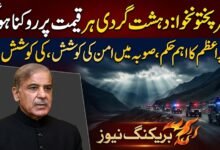  خیبر پختونخوا میں بڑھتی ہوئی دہشت گردی کو ہر قیمت پر روکنا ہوگا: وزیراعظم
