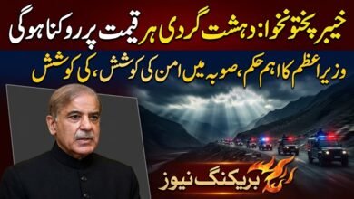  خیبر پختونخوا میں بڑھتی ہوئی دہشت گردی کو ہر قیمت پر روکنا ہوگا: وزیراعظم
