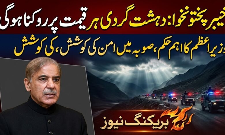 خیبر پختونخوا میں بڑھتی ہوئی دہشت گردی کو ہر قیمت پر روکنا ہوگا: وزیراعظم